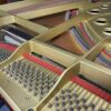 Grand Piano C3B