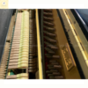 Apollo A8.pianojp 1