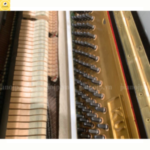 đàn piano kawai ku2