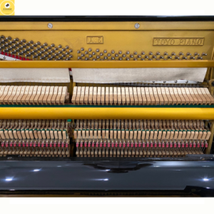 Đàn Piano Apollo A5
