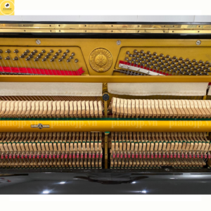 Đàn Piano Apollo A5