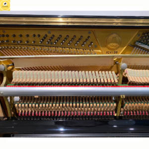 đàn piano cơ tokai