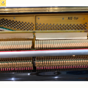 đàn piano cơ tokai