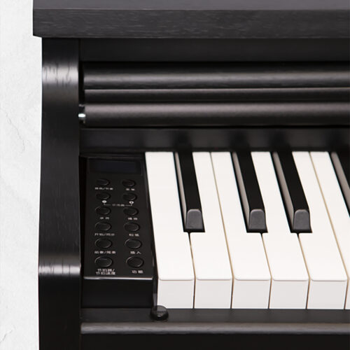 Piano Điện Apollo DP-66 - Ảnh 4