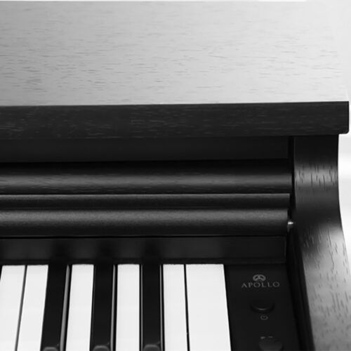 Piano Điện Apollo DP-66 - Ảnh 5