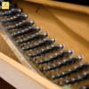 đàn piano yamaha U1M