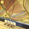 pianokawai DS60 6