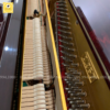 đàn piano Apollo A350