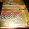 đàn grand baby yamaha A1l