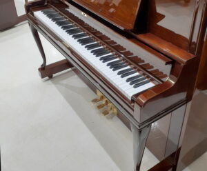 Piano ROLEX RX300DW
