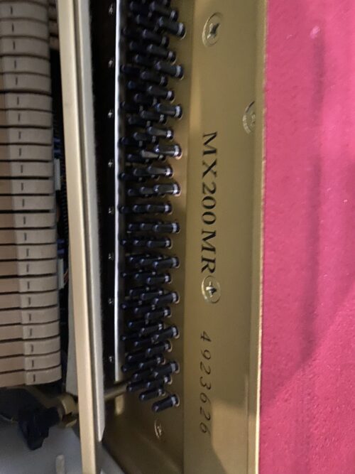 Piano Yamaha MX202R - Ảnh 6