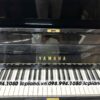 Đàn Piano Cơ Yamaha U1H dan-piano-co-yamaha-u1h-cua-lcpiano-5