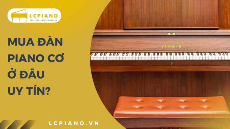 Mua Đàn Piano Cơ Ở Đâu? Đến ngay Tổng kho LCPiano