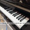 piano-yamaha-CLP240PE-3